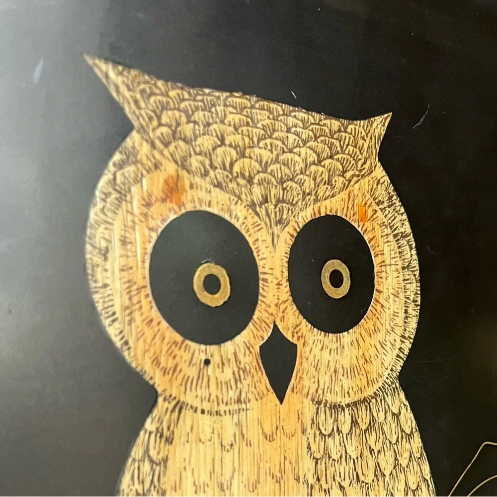 VTG Couroc Owl Tray Hand Inlaid 60s Barware Serving Mid-century MCM Phenolic